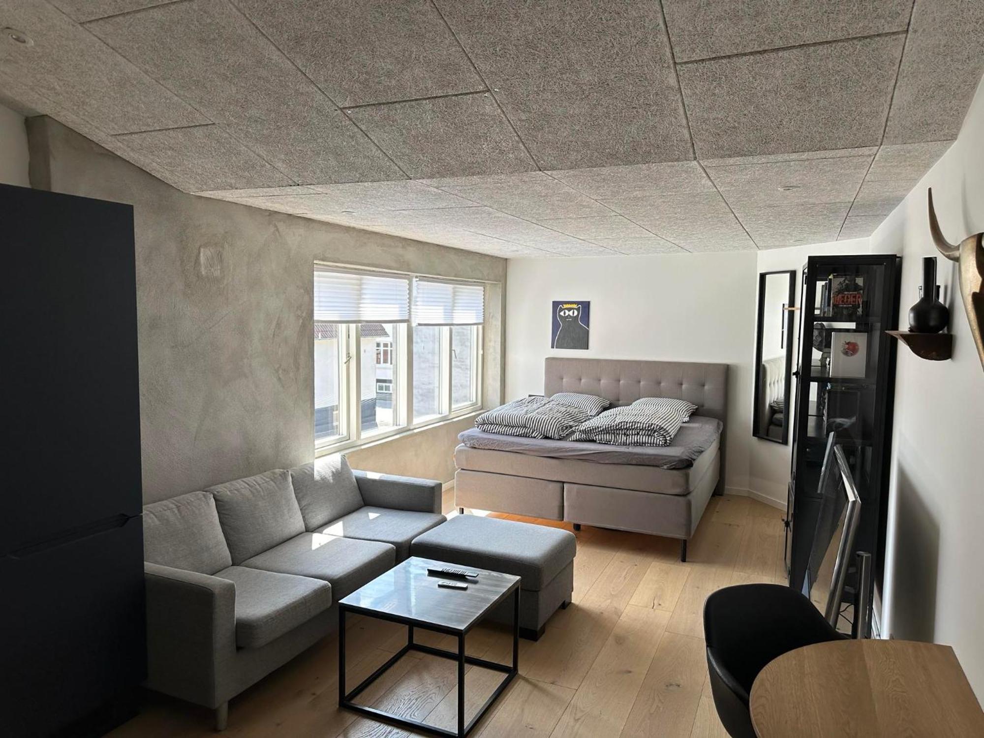 Ekslusiv Lejlighed Apartment แฮร์นิง ภายนอก รูปภาพ